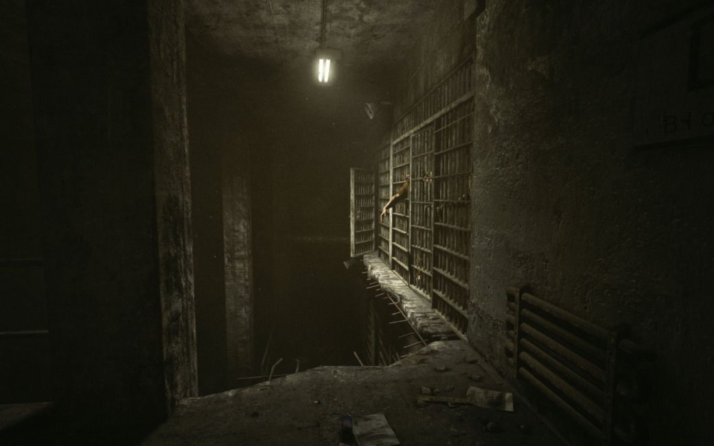 Рецепт настоящего хоррора и мнение об Outlast. - Изображение 11 Рецепт настоящего хоррора и мнение об Outlast. - Изображение 11