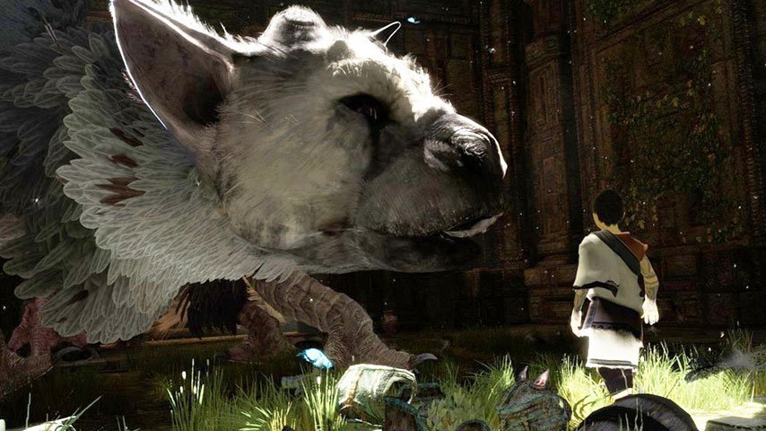 Слух: разработку The Last Guardian завершит создатель Knack. - Изображение 1 Слух: разработку The Last Guardian завершит создатель Knack. - Изображение 1