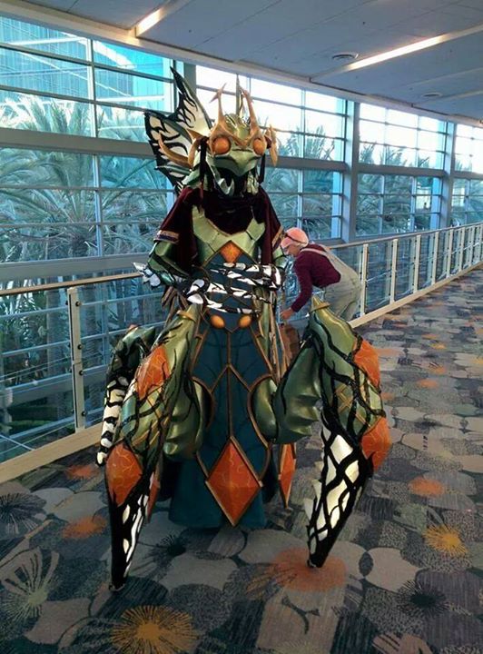 Победитель конкурса косплея не смогла подняться на сцену BlizzCon 2014. - Изображение 1 Победитель конкурса косплея не смогла подняться на сцену BlizzCon 2014. - Изображение 1