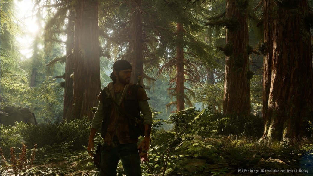 Подробно о главных играх с конференции Sony на выставке E3 2017. - Изображение 14 Подробно о главных играх с конференции Sony на выставке E3 2017. - Изображение 14